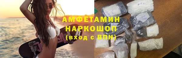 СК Алексин