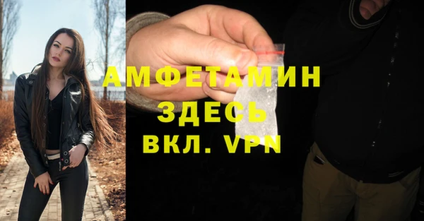 СК Алексин