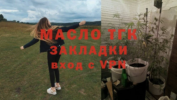 СК Алексин