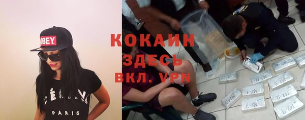 гидропоника Алзамай