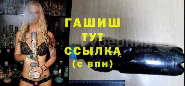 СК Алексин