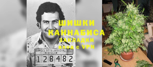 гидропоника Алзамай