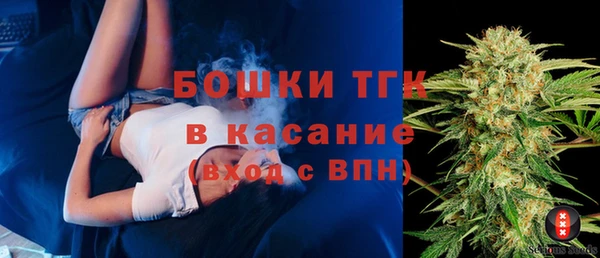 СК Алексин