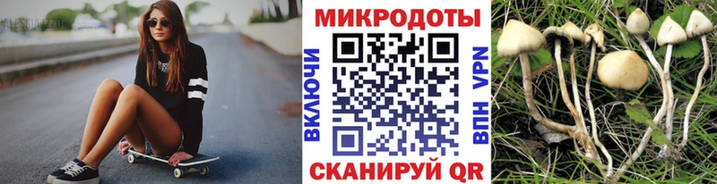 как найти наркотики  Сортавала  Псилоцибиновые грибы прущие грибы 
